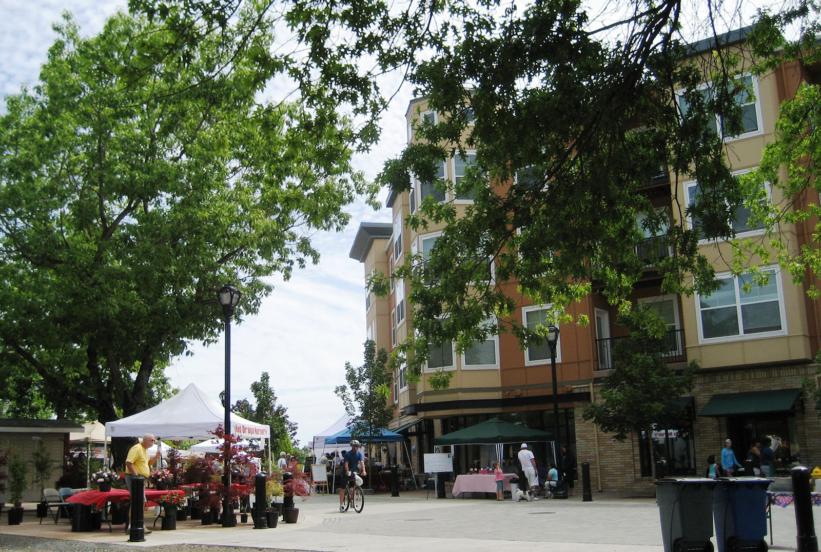 Villebois Wilsonville Oregon farmers market Villebois Wilsonville Oregon farmers market