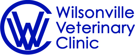 wvc logo blue