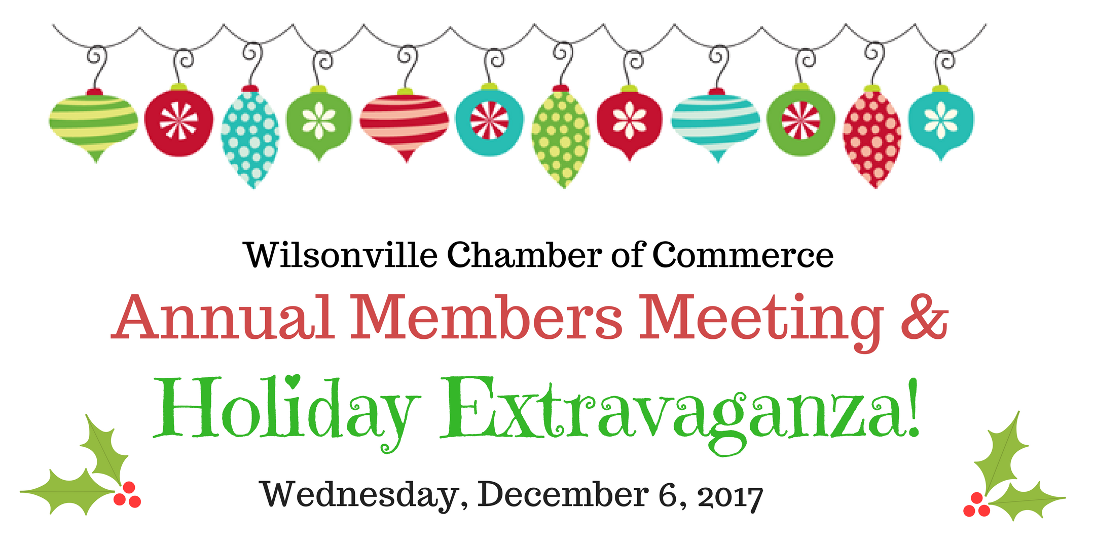 Annual Members Meeting and Holiday Extravaganza