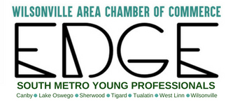 Young Professionals of South Metor 3